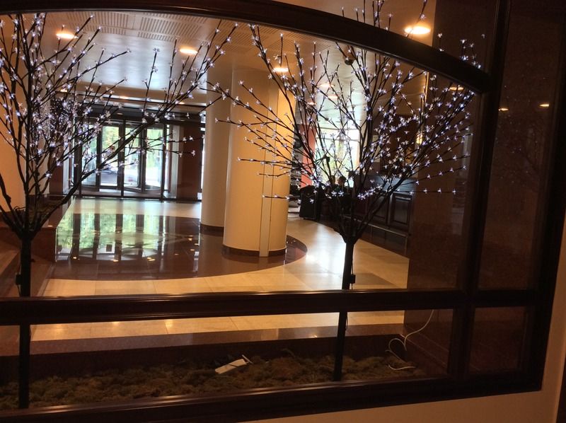 Hotel Rapsodia City Center Botoşani Extérieur photo
